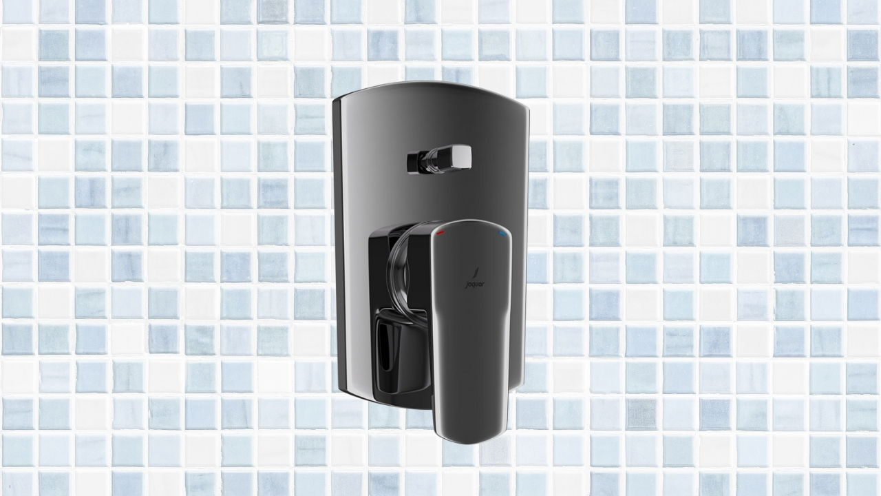 Diverter and Shower Valve